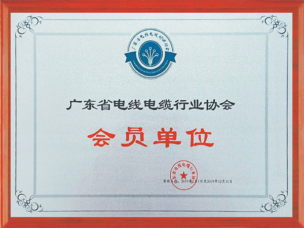 曙光数创2024年半